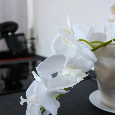 L'arte E Di Casa Bed & Breakfast 3*